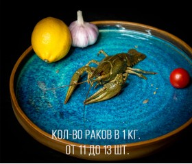 Рак крупный +